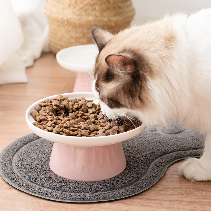 Pet Feeding