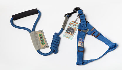 Dog Leash, Leash, Vest, Chest And Back, Small Dog Method, Fight, Dog Leash, Large Dog