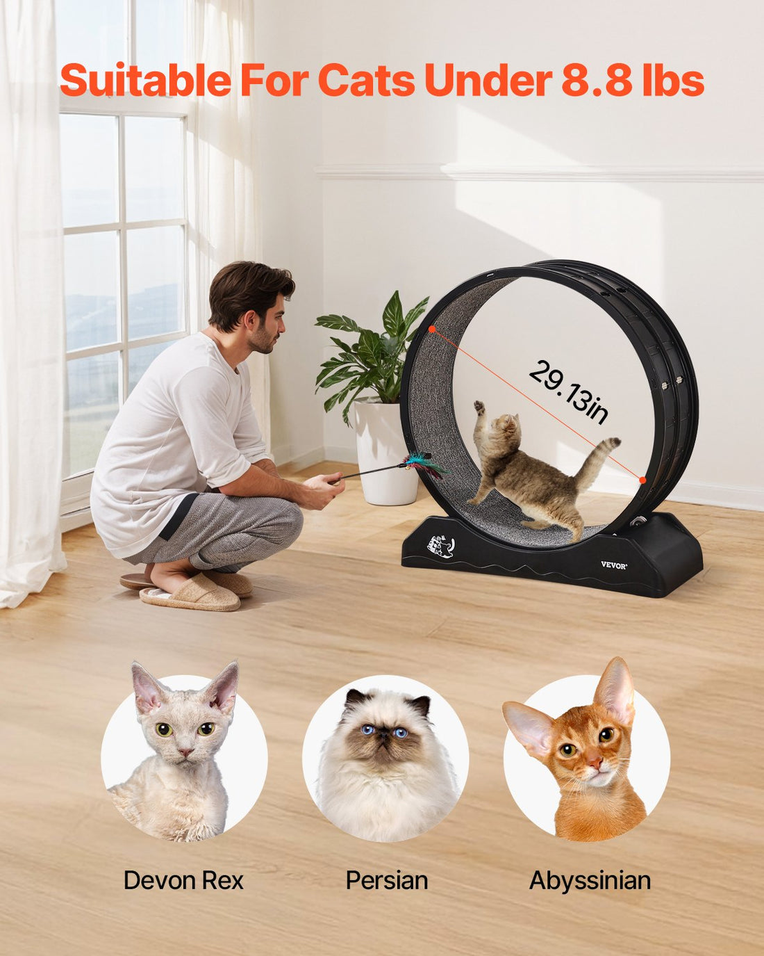 Cat Exercise Wheel 31.5 In Large Indoor Cat Running Wheel Treadmill Black