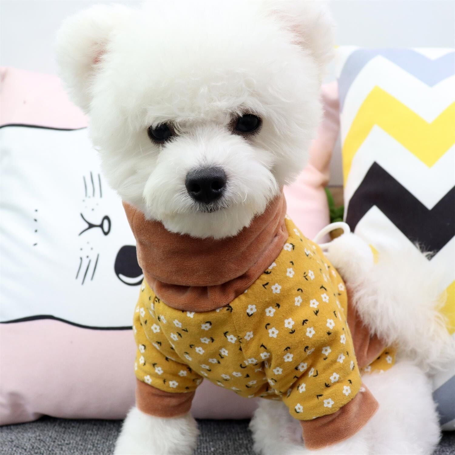 Teddy Pomeranian Schnauzer Small Dog Poodle Dog Clothes