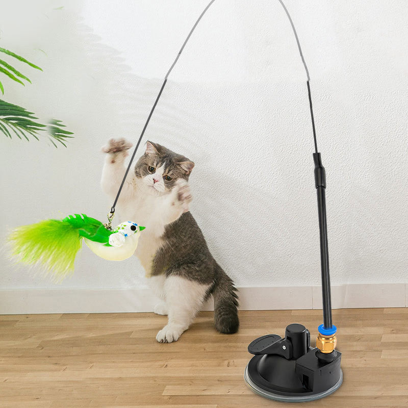 Funny Cat Stick Cat Relieves Boredom