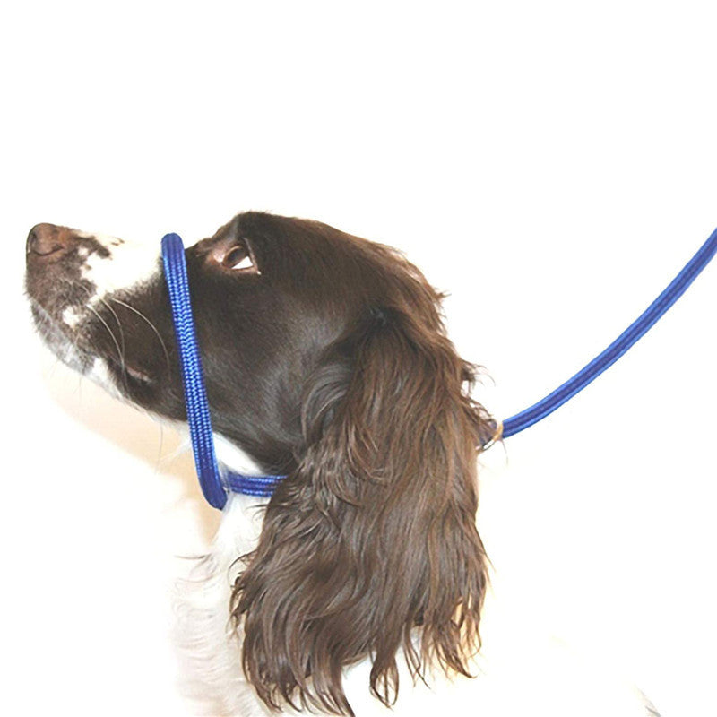 Pet Dog Mouth Leash Nylon Dog Walking